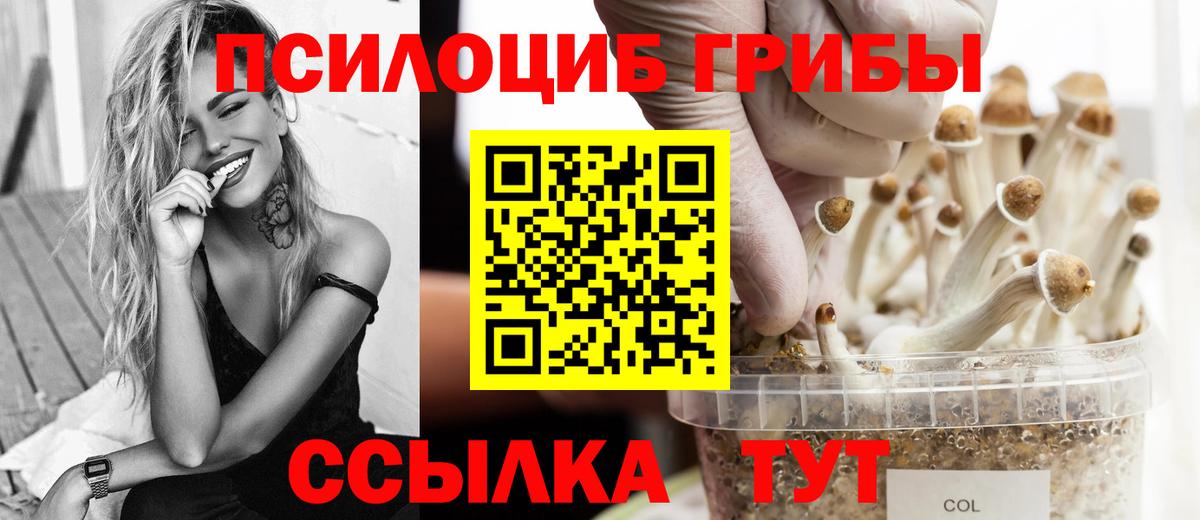 Галлюциногенные грибы Psilocybe Клин