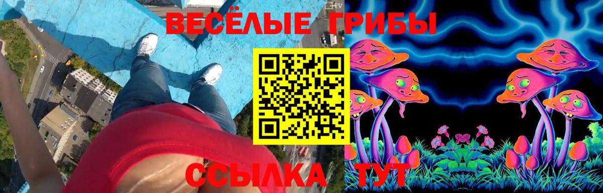 Клин  Галлюциногенные грибы GOLDEN TEACHER  Вход с VPN 